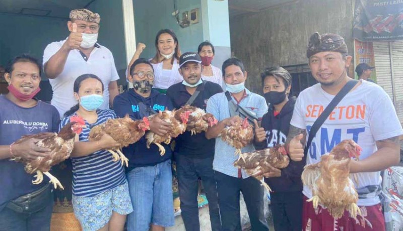 Srikandi Gerindra Karangasem Bagi-bagi 500 Ekor Ayam